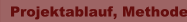 Projektablauf, Methode